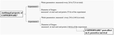 Copper/Carbon Core/Shell Nanoparticles: A Potential Material to Control the Fish Pathogen Saprolegnia parasitica